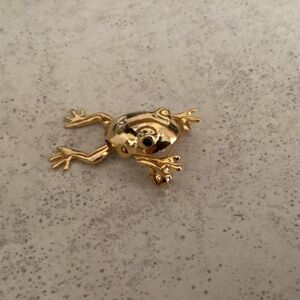 The cutest gold jointed frog pin.his mouth and his legs move!! Needs a new home.